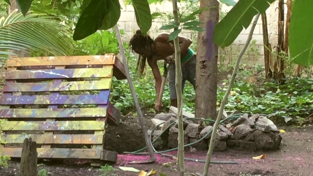 LIFE YARD : Urban Farming - Kingston Jamaica