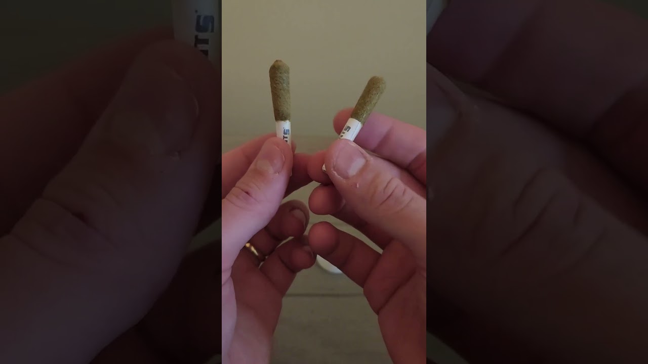 Joint Review by a Dispensary Manager #2 | Punch Stingers Infused Prerolls #alwaysgoodcannabis