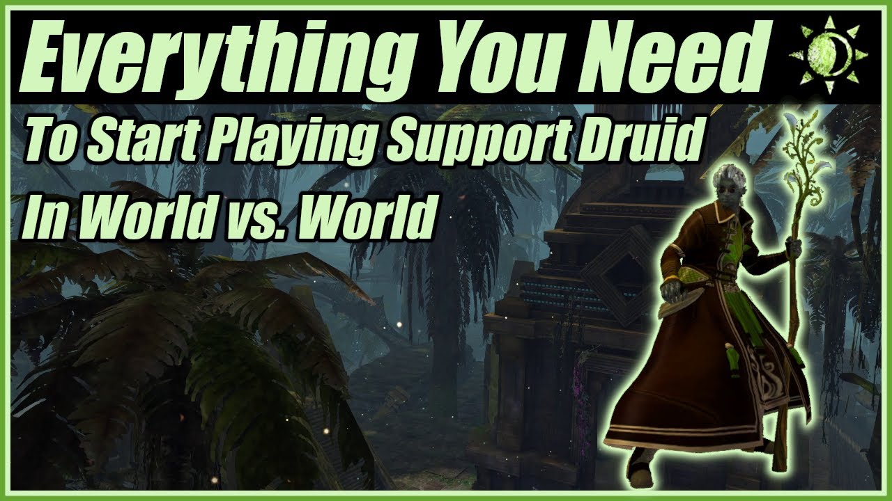 Everything You Need To Start Playing Support Druid in World vs. World