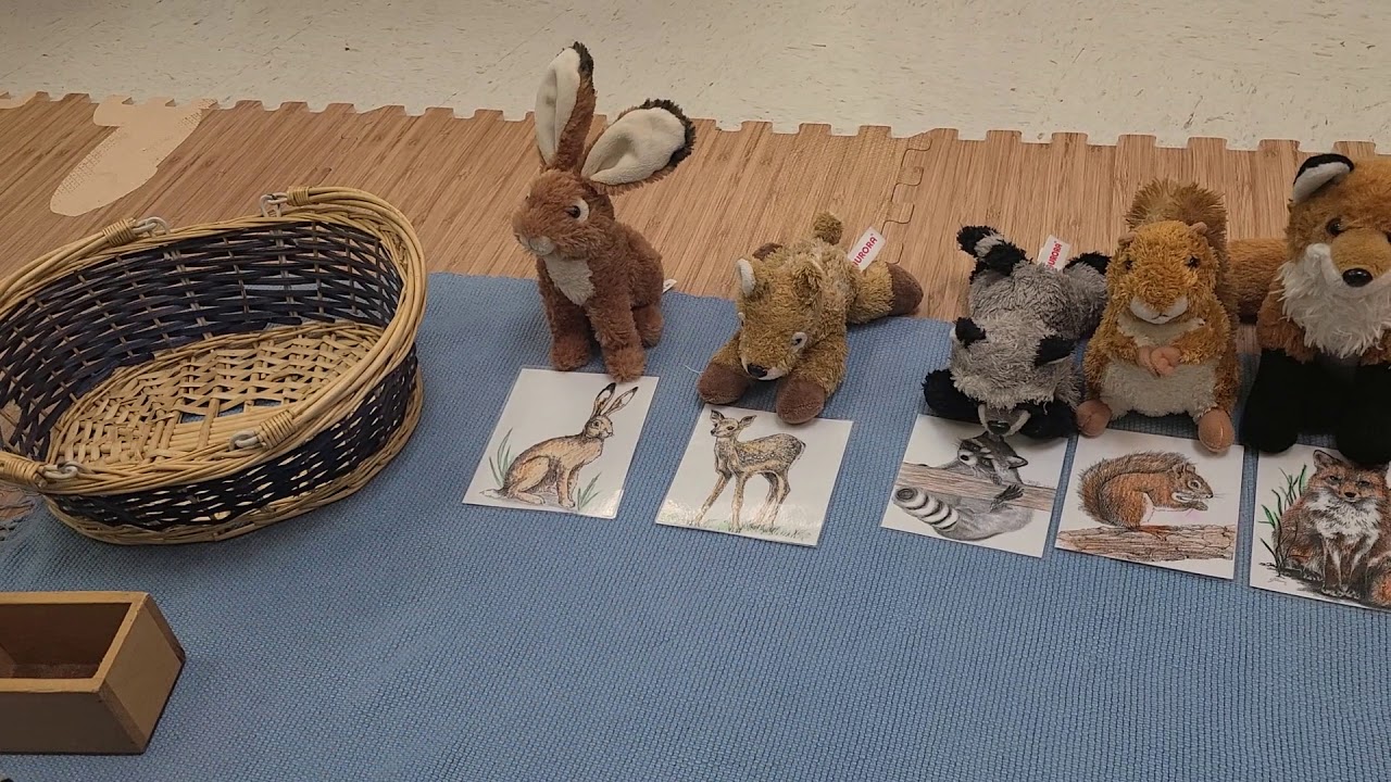 Vocabulary Object to Card Match Montessori