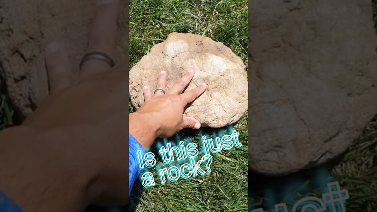 💎 Huge Quartz Geode!! Geode Hunting in Kentucky #rockhounding #geodes #crystals