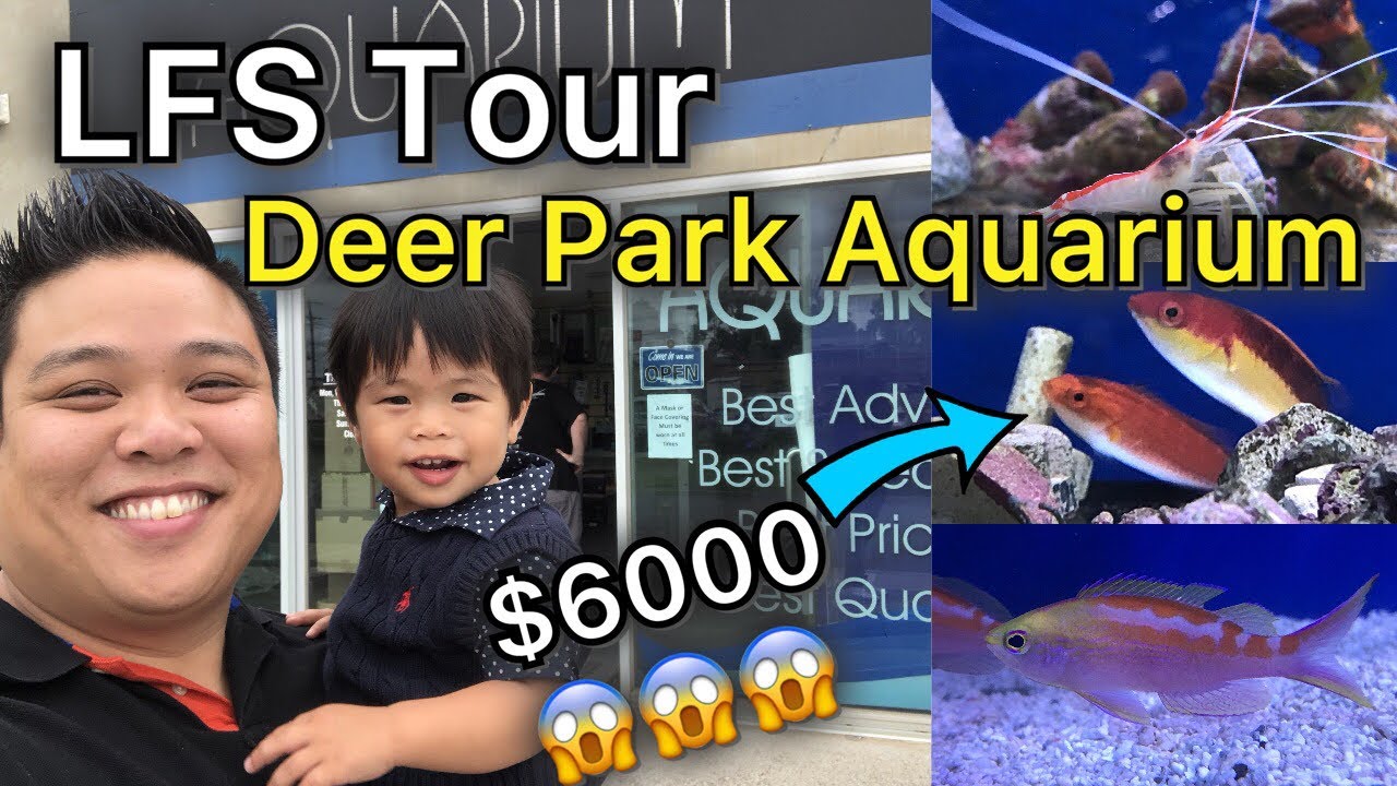 LFS Tour - Deer Park Aquarium AND A SPECIAL BIG DEAL GUEST!