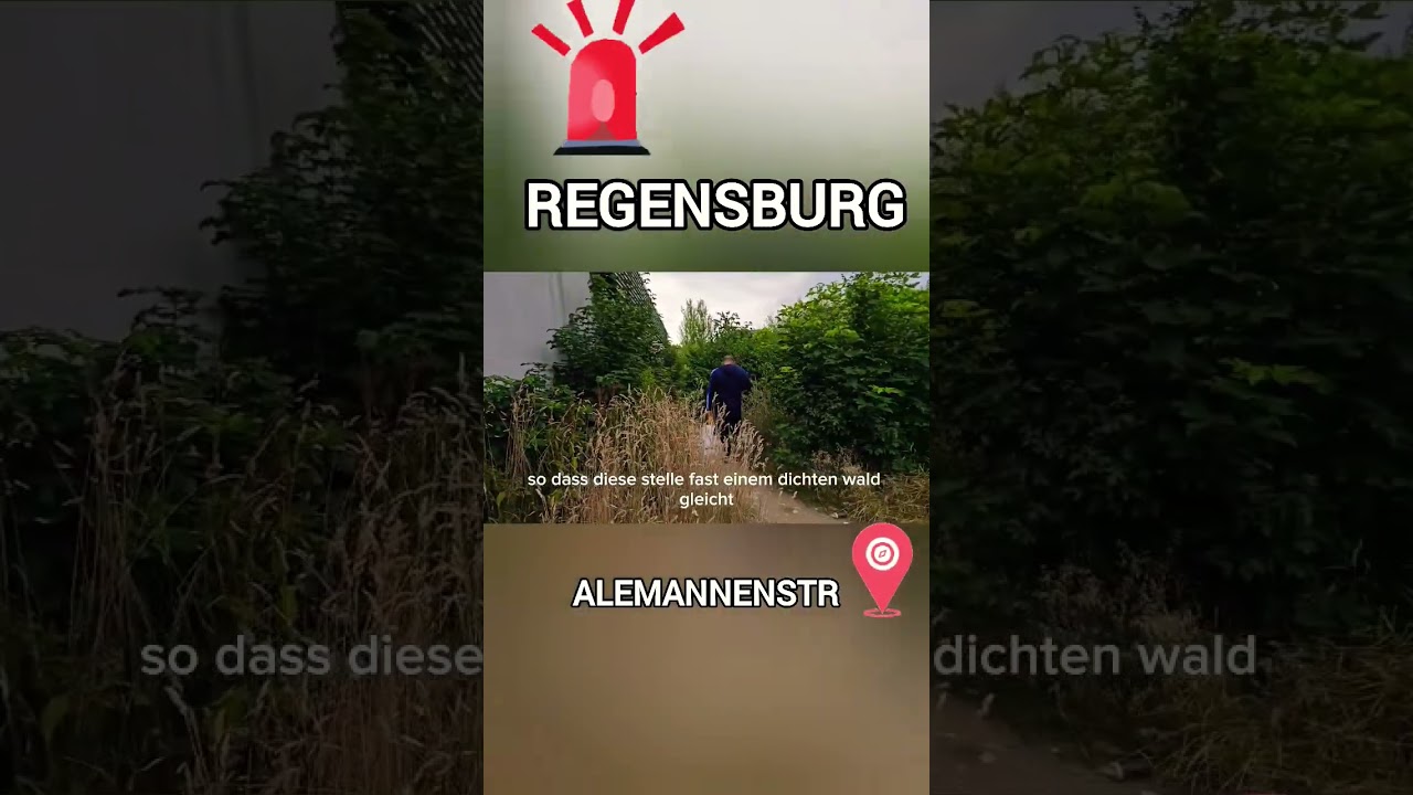 In Regensburg ist die Alemannenstra&szlig;e zu einer M&uuml;llhalde geworden!!! #regensburg #M&uuml;ll #M&uuml;llhalde