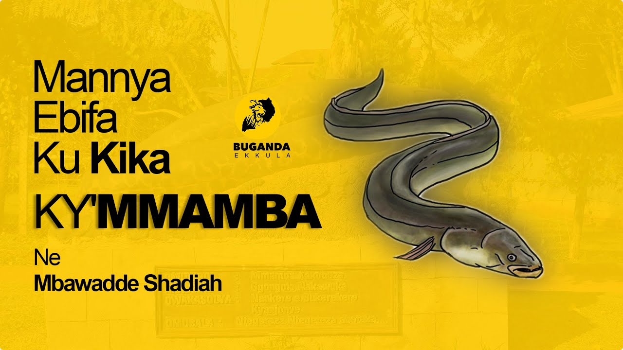 Mannya Ebifa Ku Kika Ky'Mmamba Ne Mbawadde Shadiah - Buganda Ekkula