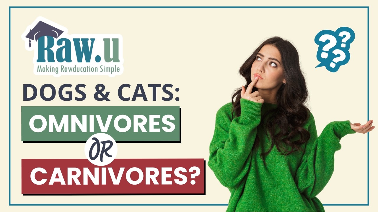 Cats and Dogs: Omnivores or Carnivores?