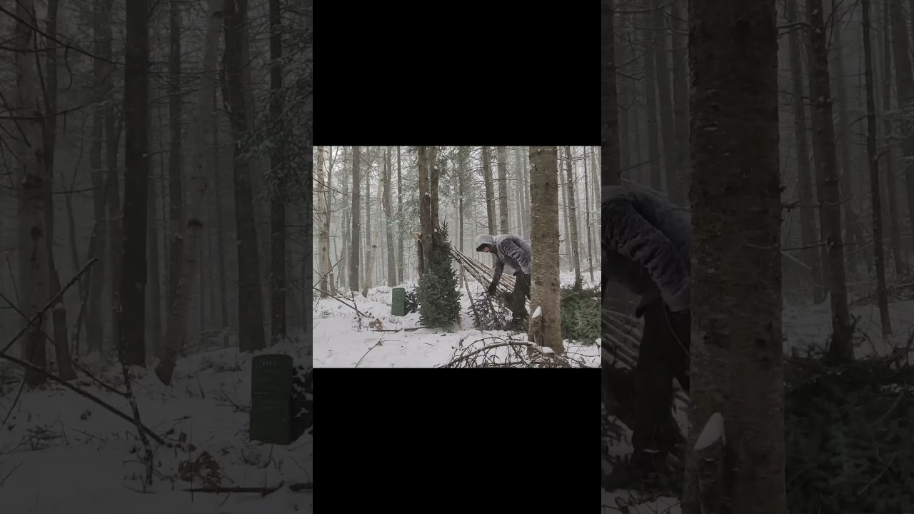 Clever  Survival Shelter in a Snow Storm by Joshua Gammon #bushcraft #survival #asmr #camping