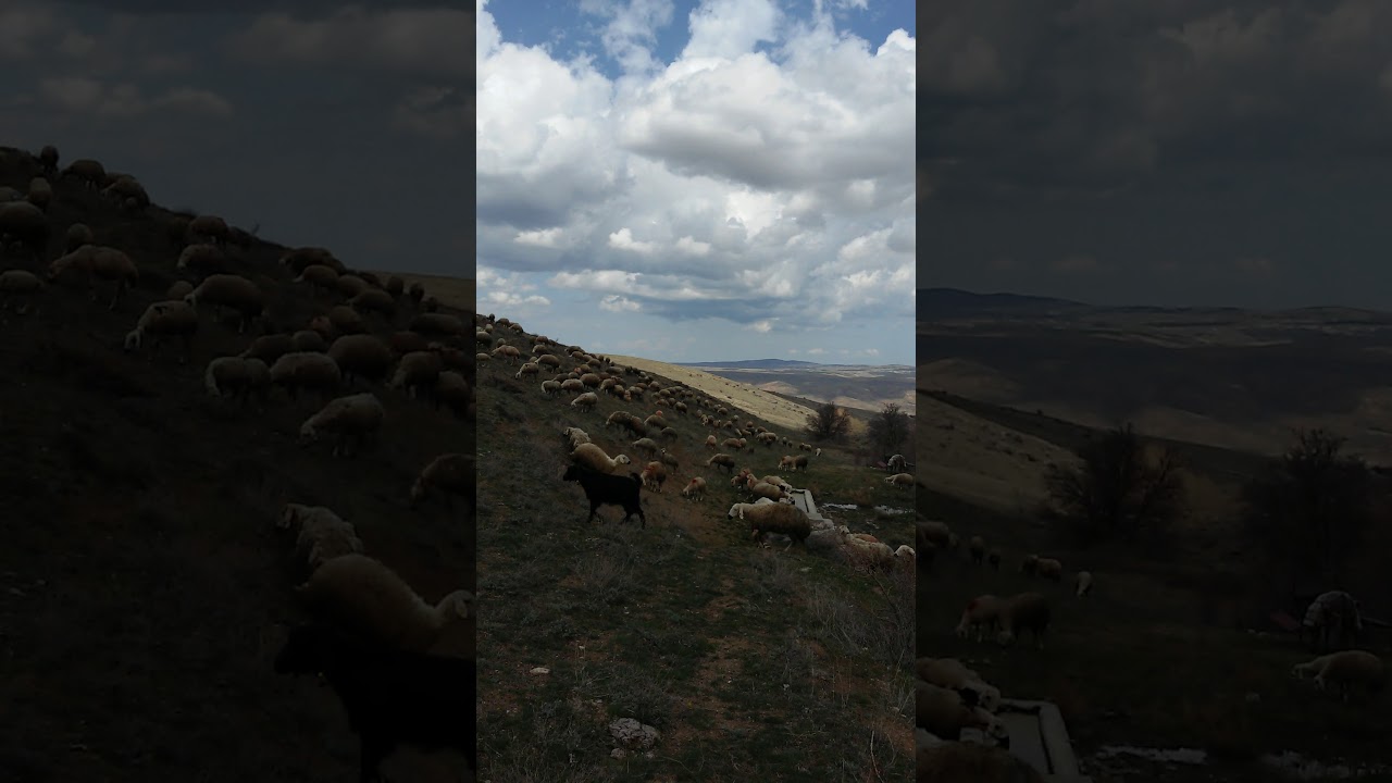 Aydın Battal - Gitmem Ben Köye