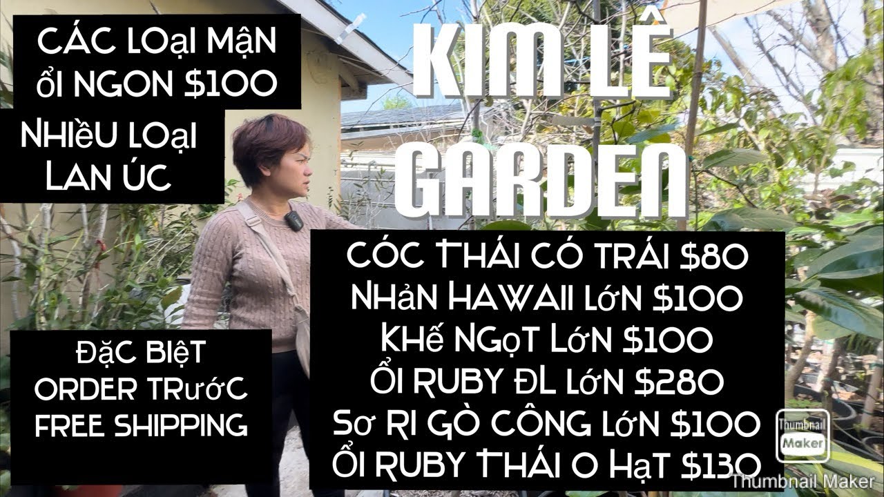 Chị Kim Tiếp Tục Sale Cây Giá Đặc Biệt Và Vài Lời Tâm Sự Với Khách Hàng tt613