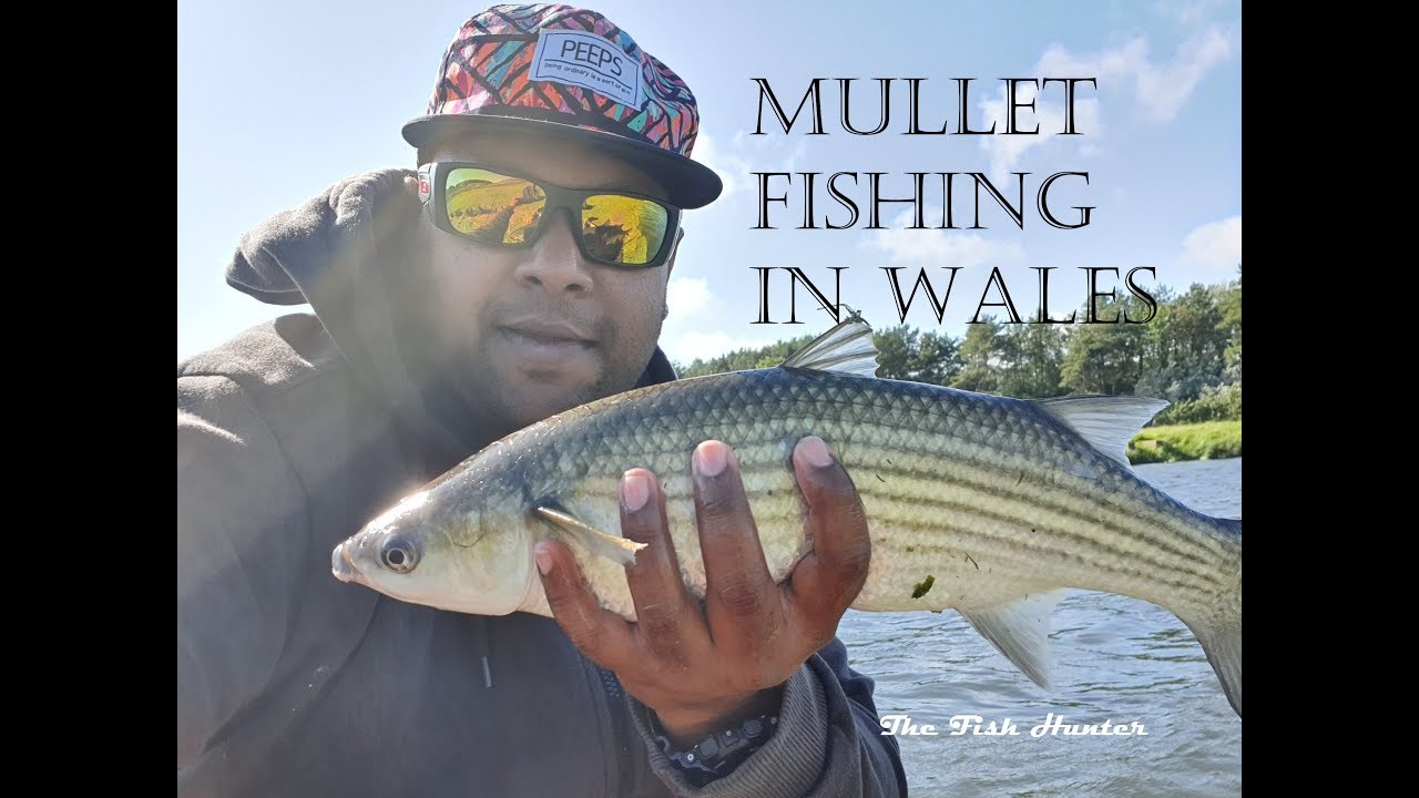 Mullet Fishing Ogmore River Wales.