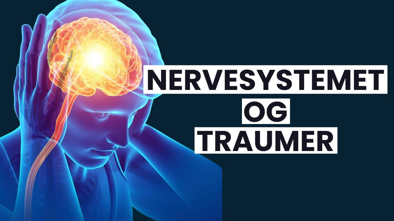 Traumer og et dysregulert nervesystem: Slik reagerer du faktisk under traumer og overgrep