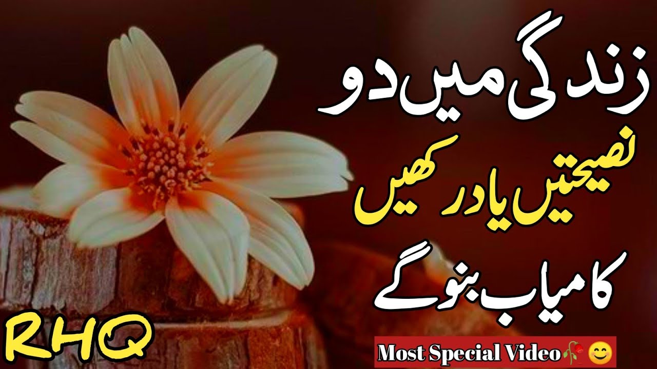 Golden Words In Urdu | Quotes About Allah In Urdu | Islamic Quotes By Rahe Haq Quotes