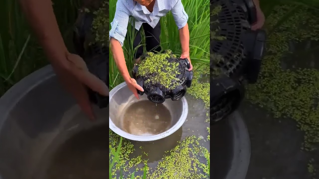waah ini perangkap belut paling recommended,wajib dicoba kawan 