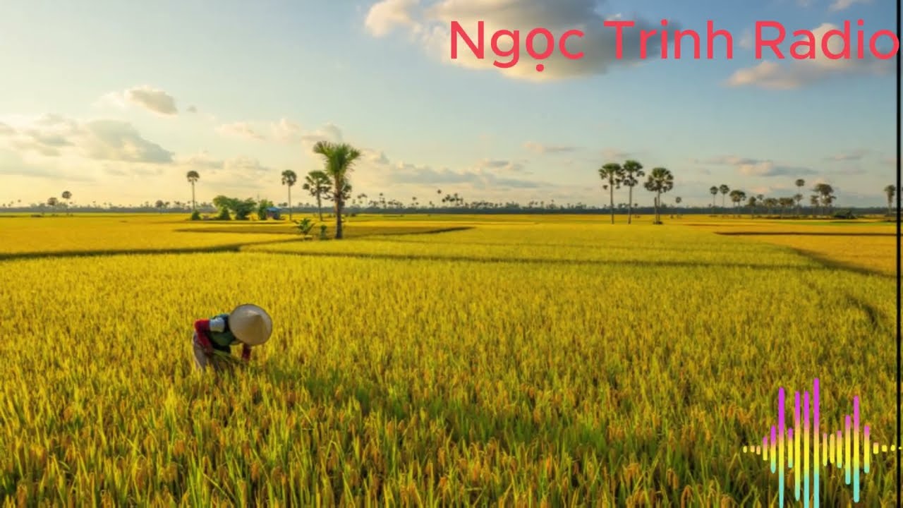 Truyện Ngôn Tình 2026 | CHĂM SÓC CON DÂU