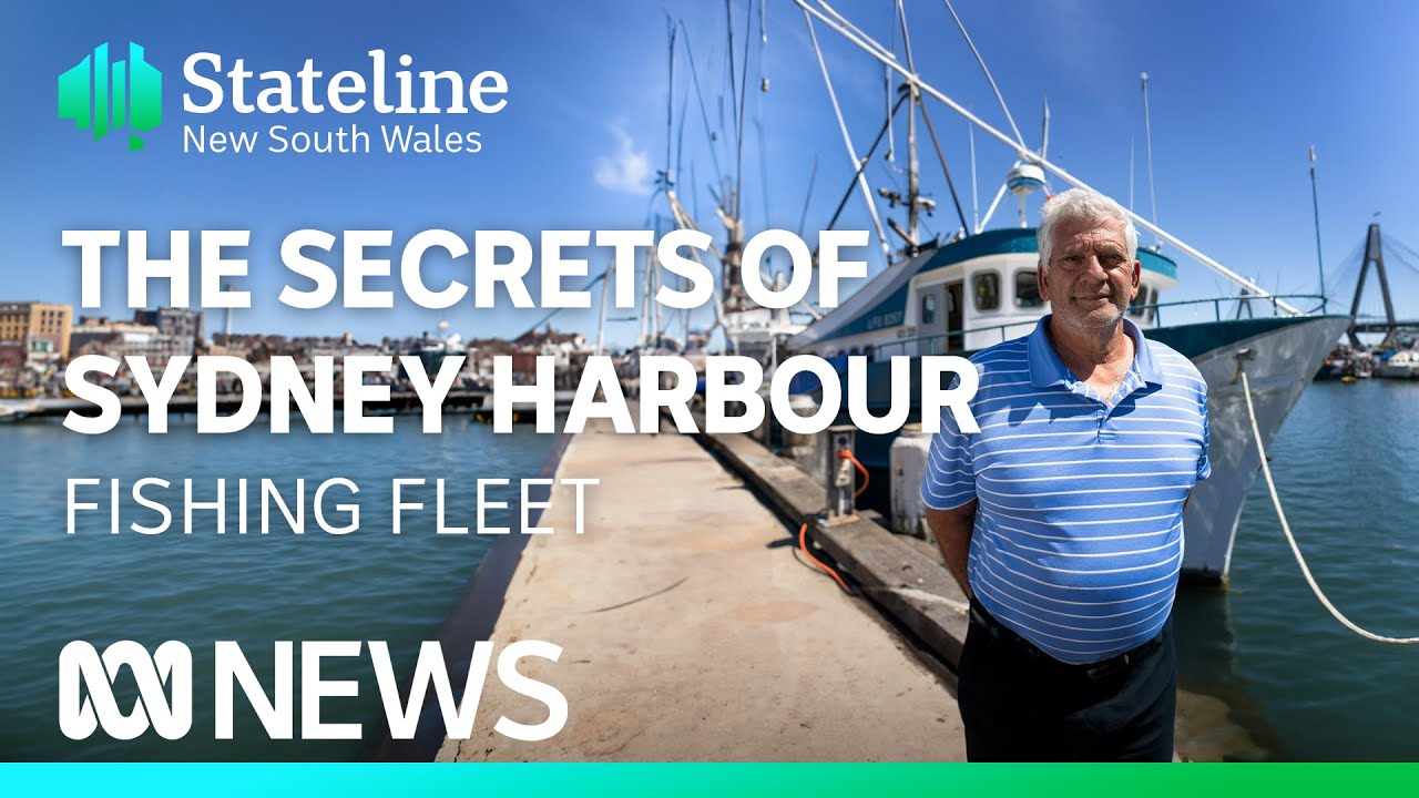 Sydney's fishing fleet facing the end of the line | Stateline | ABC News