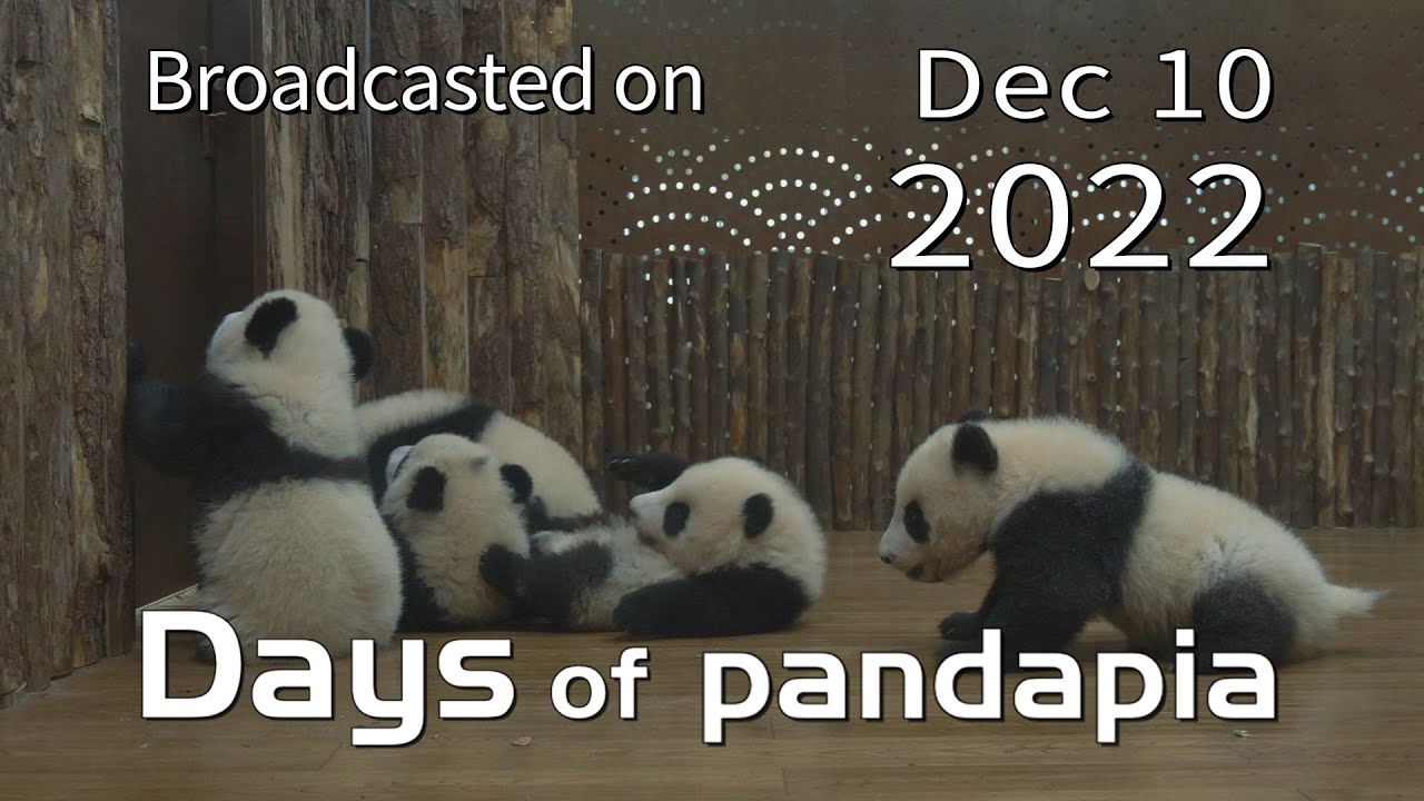 20221210 Broadcast Top Highlights 12