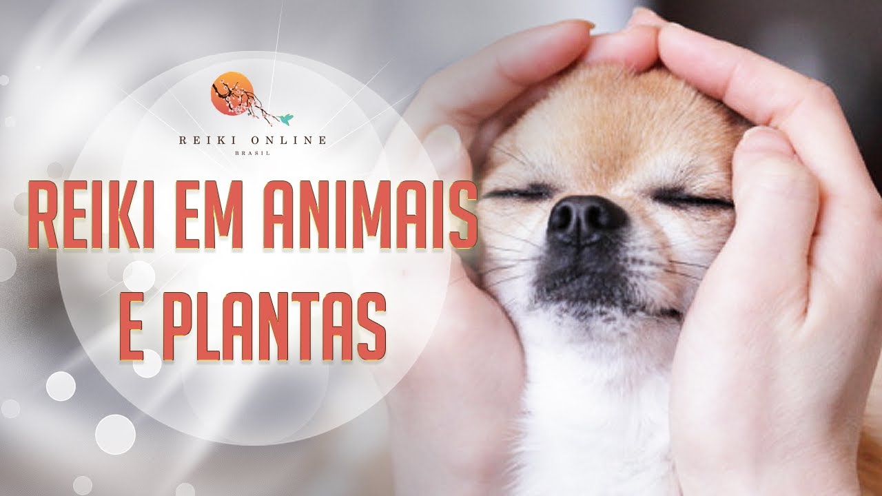 Como Fazer REIKI EM ANIMAIS E PLANTAS
