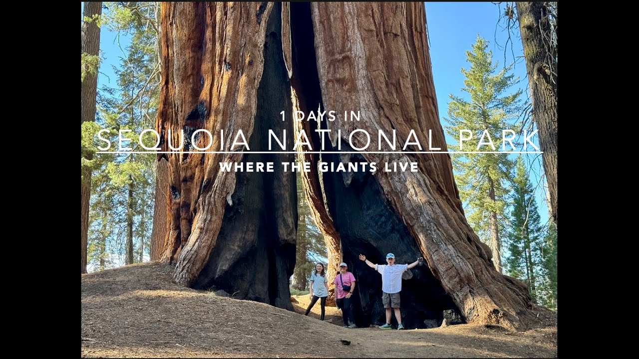 S4 Ep.12 Day 1 Sequoia National Park