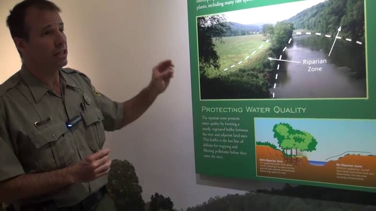 N.C. State Parks: The History and Environment of the Ancient New River