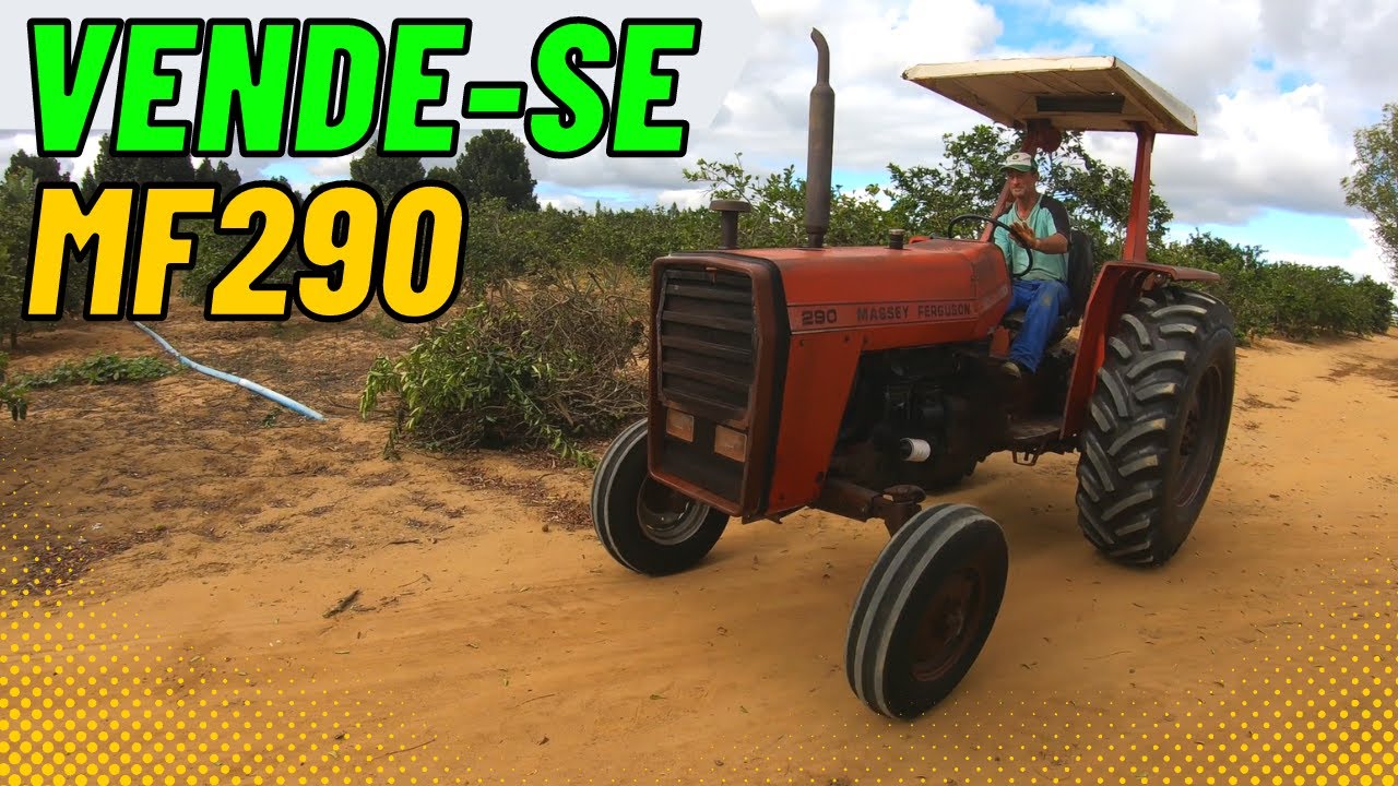 MF 290 MUITO CONSERVADO | O melhor que eu já vi!
