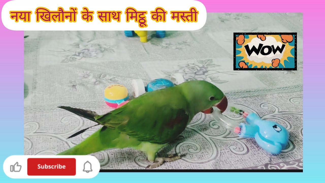 Naya khilaune ke sath mitthu  ki Masti 🎊🥰