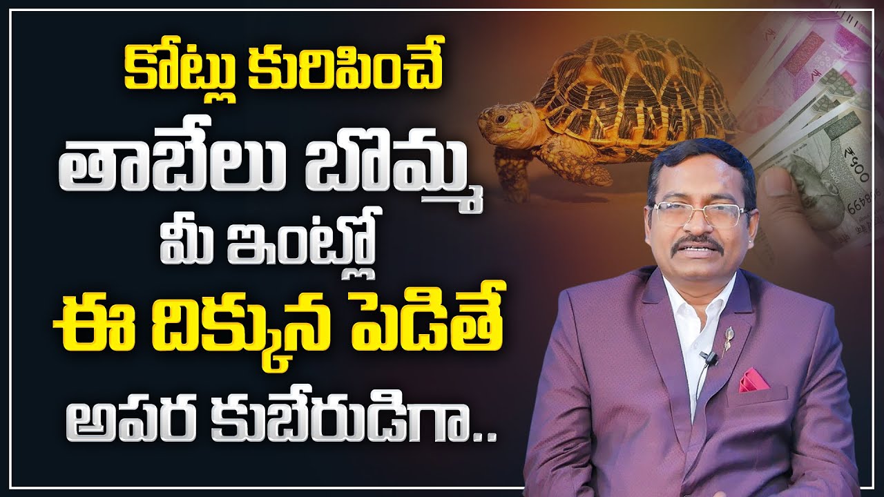 BVSS Reddy : Importance Of Tortoise And Its Direction In Vastu |Benefits of Keeping Tortoise |M Qube