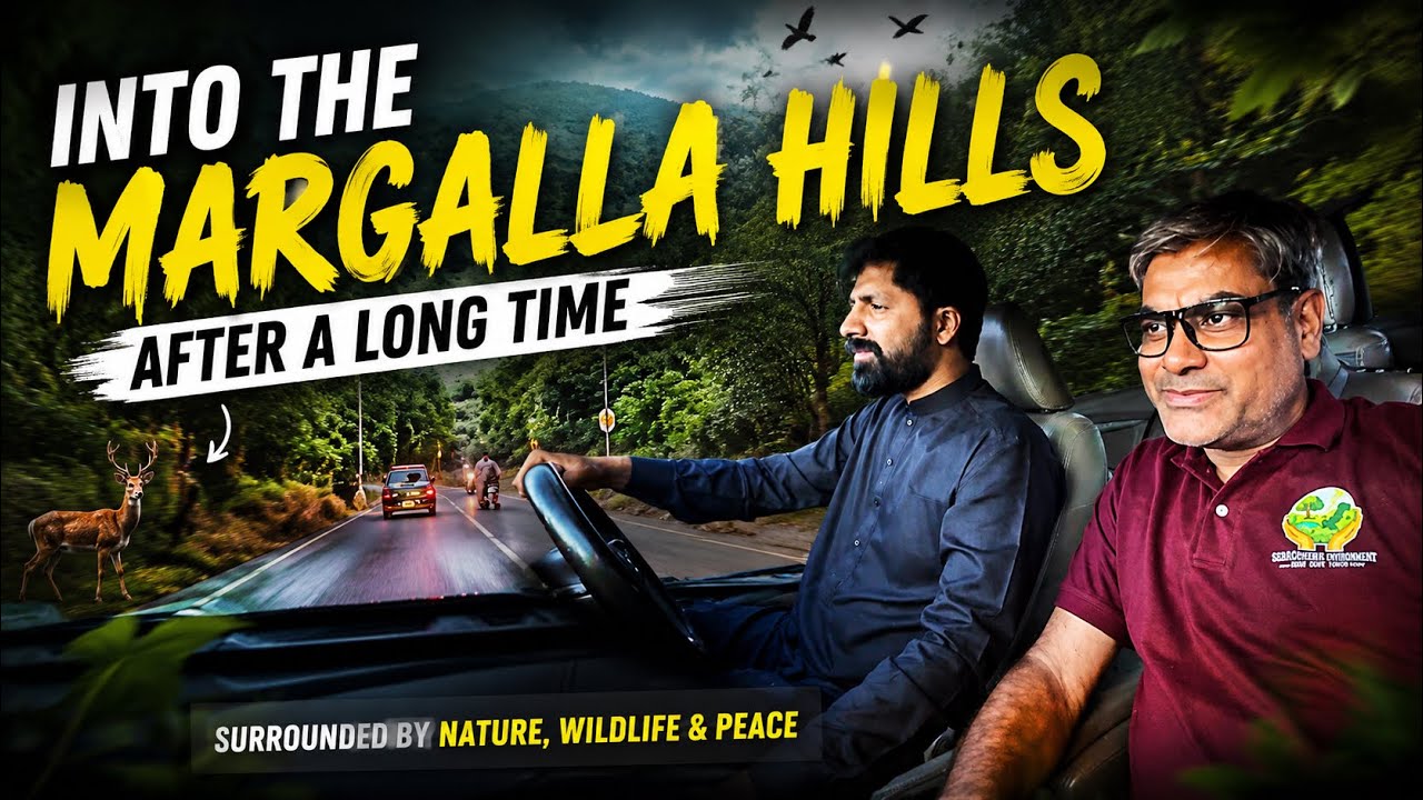 Driving Through Margalla Hills | Islamabad&rsquo;s Most Beautiful Forest Road