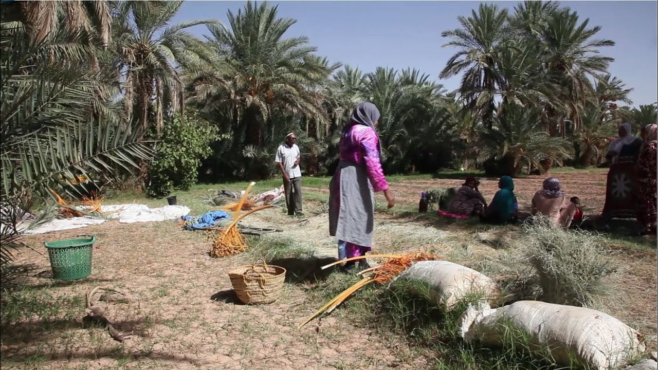 Les bonnes pratiques oasiennes en vidéo 5/5 - Gestion participative de l'eau - Maroc VOSTFR