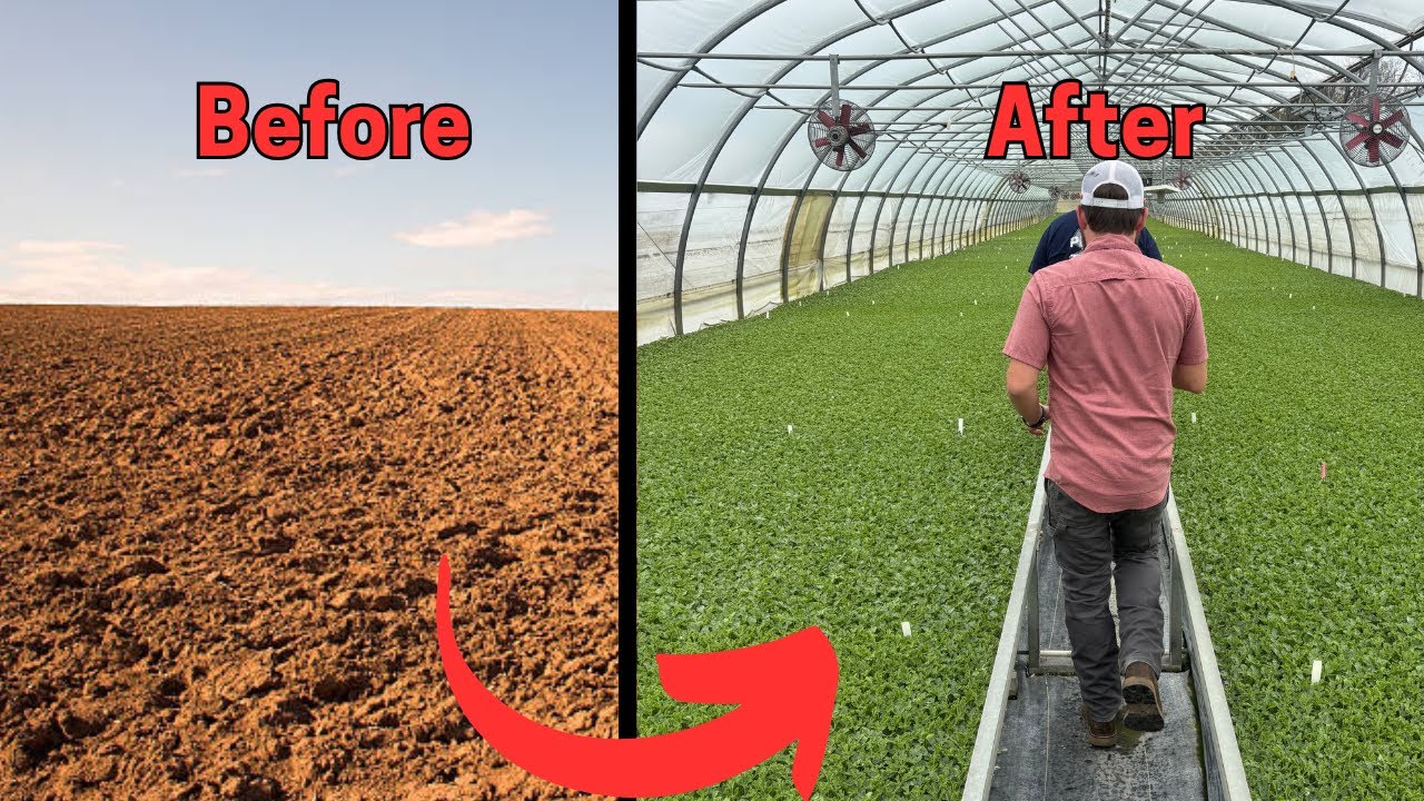 How Farms Grow Millions of Watermelons
