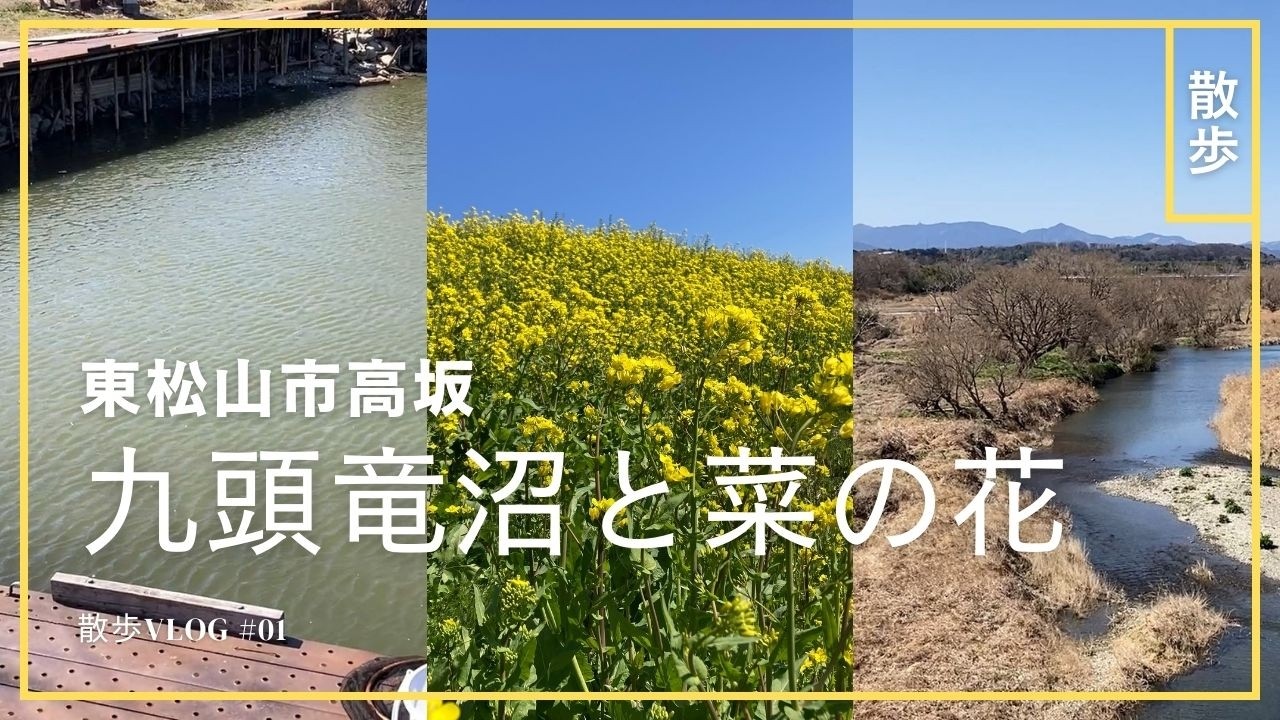 【散歩】3月8日 九頭竜沼視察と周辺のお散歩へ 帰りは都幾川土手沿いの菜の花を撮影