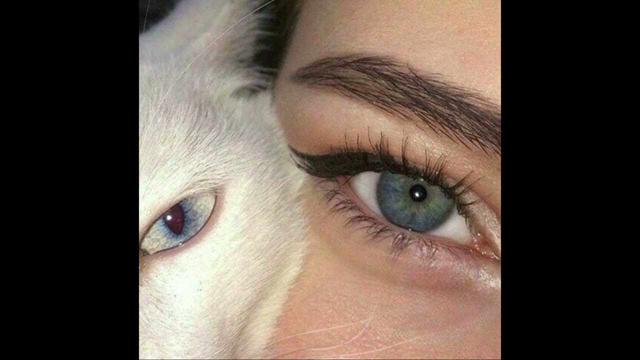 ℬℒ𝓤𝓔