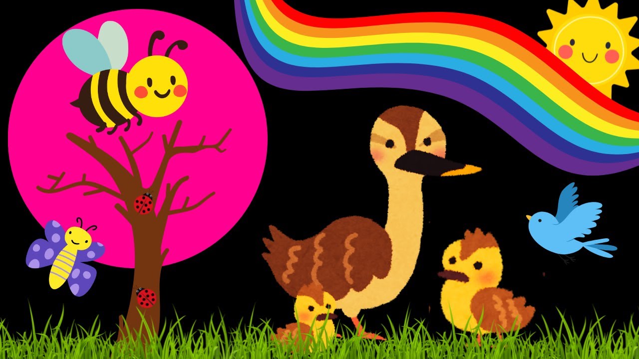 Baby Sensory Video - High Contrast - Sensory Videos for Babies - Visual Stimulation for Newborn