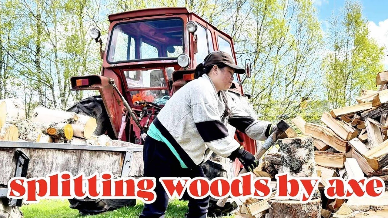 SPLITTING WOODS FOR THIS COMING WINTER
