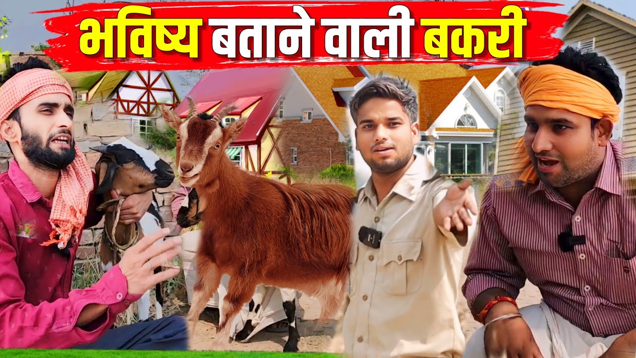 भविष्य बताने वाली बकरी || Kishori Pandit Kaka|| bhavishya batane wali bakri