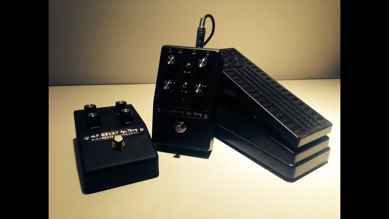 Moog MF Drive and Delay, demo by Pete Thorn