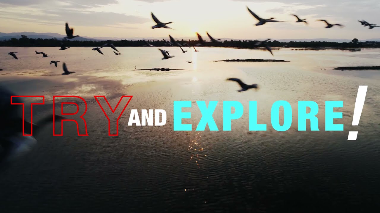 Esperienze in natura tra Lignano Sabbiadoro, Grado e Golfo di Trieste