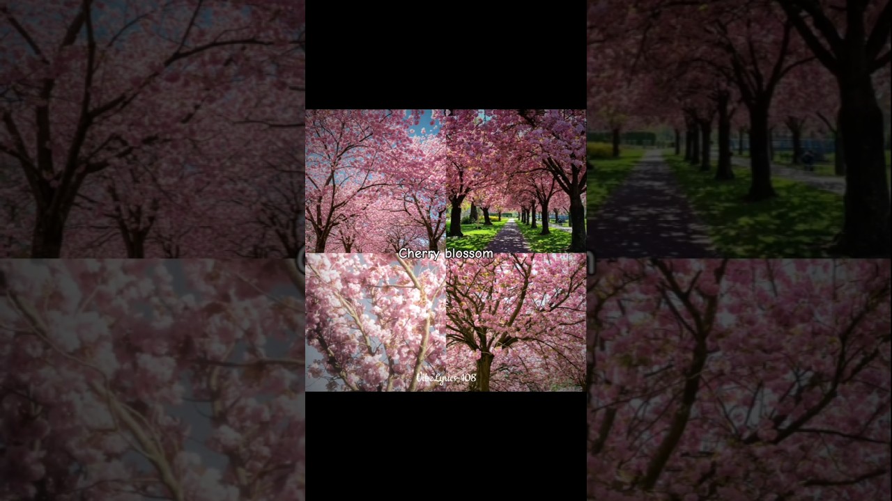 7 Most Beautiful Trees🌳💗🪄✨#vibelyrics #aesthetic #tree #youtubeshorts #nature#foryou #whatsappstatus