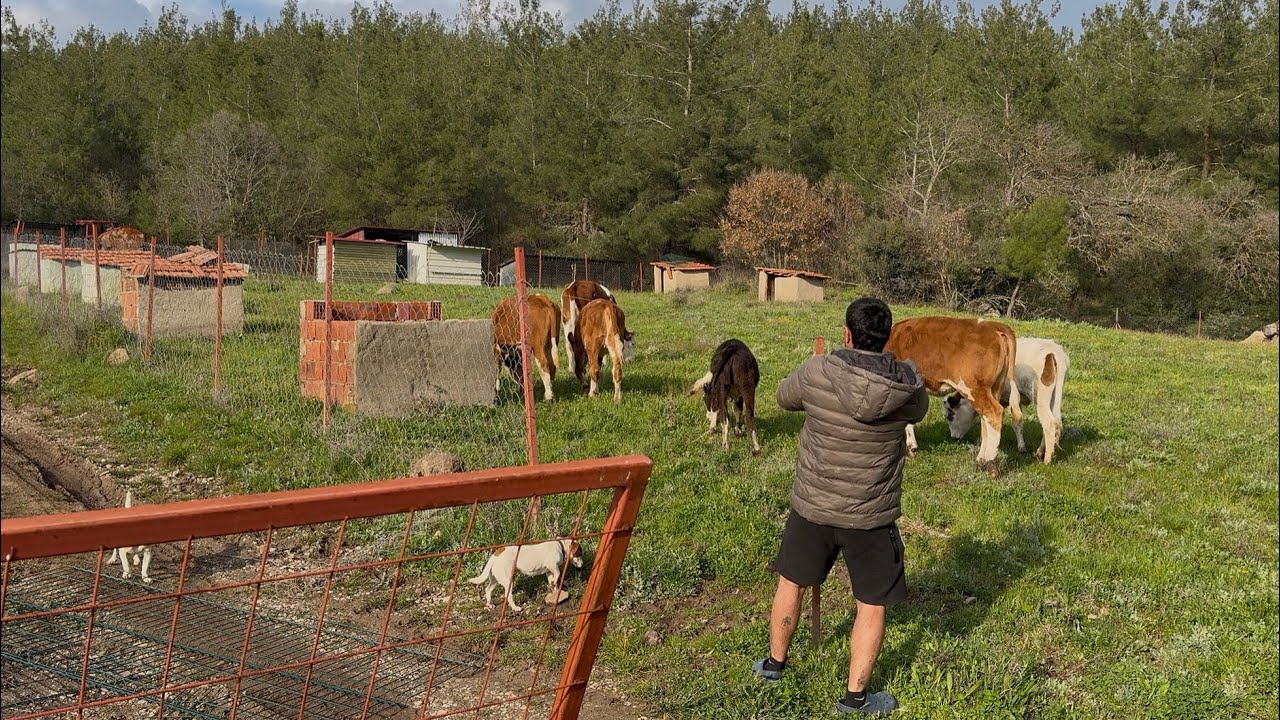BAH&Ccedil;EDEKİ DAĞINIKLIKLARI VE TELİ KAPATTIm