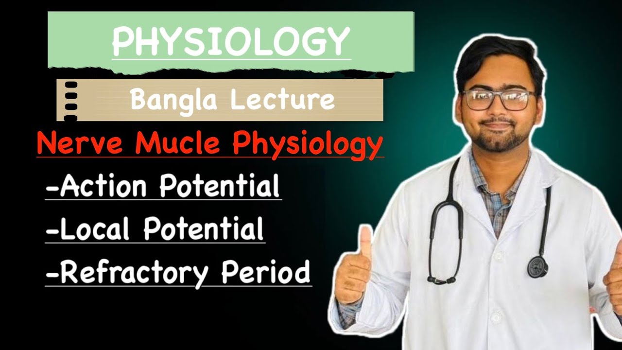 Action Potential | Local Potential | Refractory Period | Nerve Muscle Physiology | Bangla