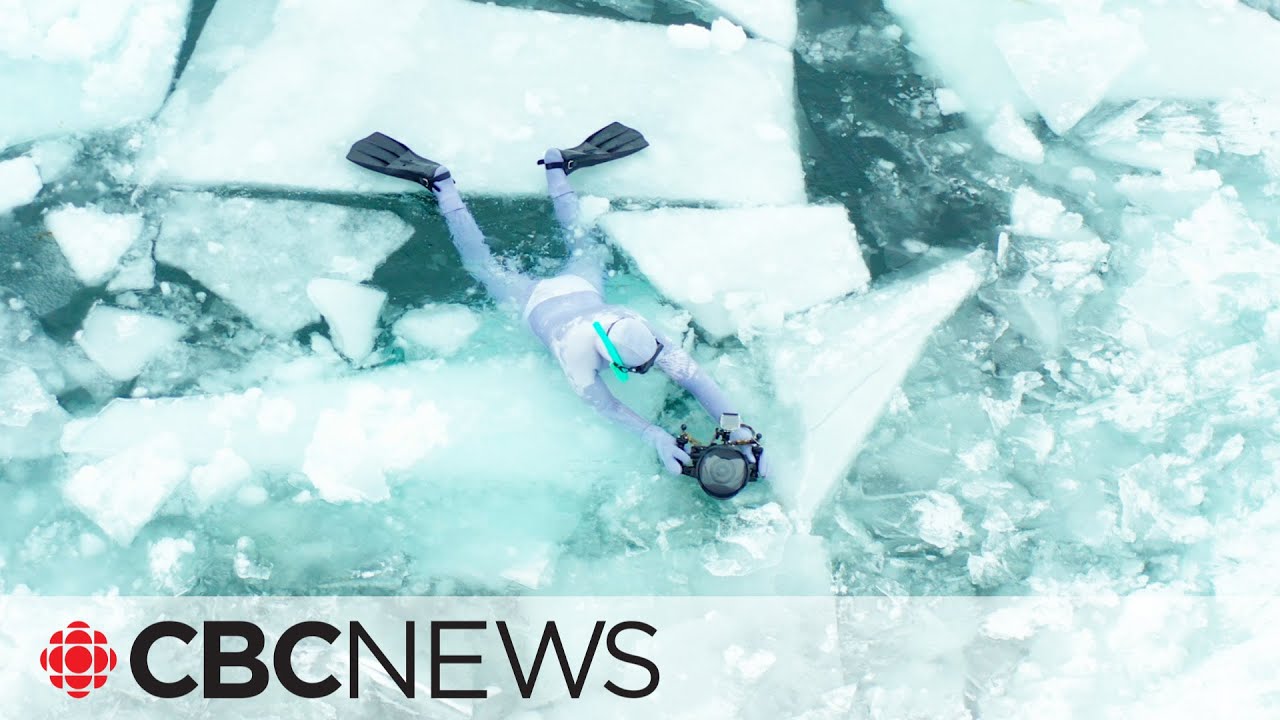 Meet the filmmaker who free-dives under ice