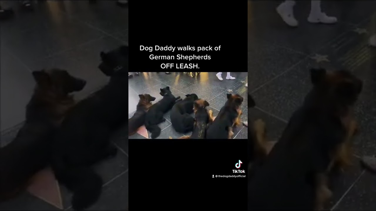 Dog Daddy&rsquo;s Signature Move.