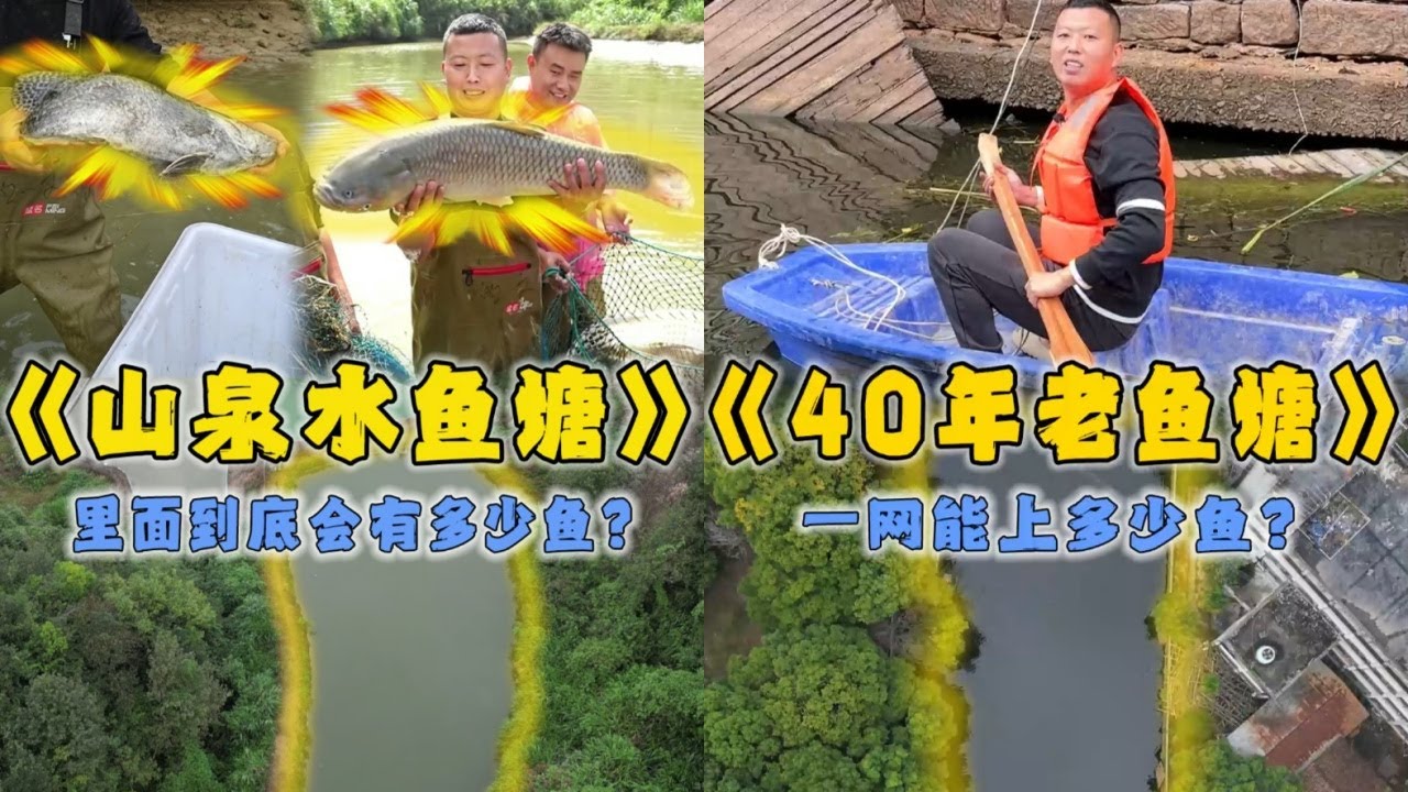 花24800元包下甲鱼养殖场里面的山泉水鱼塘，看看里面会有多少鱼｜花四万二包下口养了40年的老鱼塘，看看一网能上多少鱼