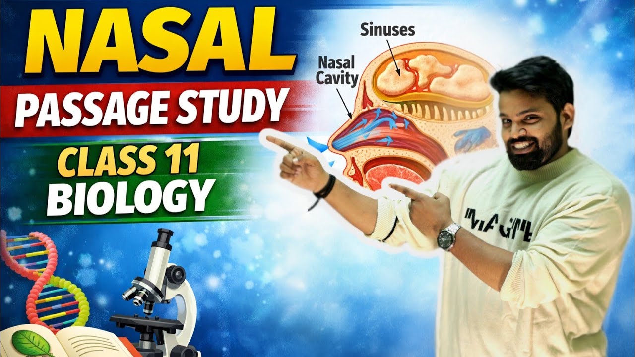 Human Respiratory structure 🔥 | Nasal passage |  XI Biology