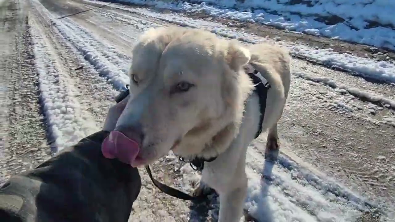 MenhelySztorik 27.rész /Írisz a szépség/