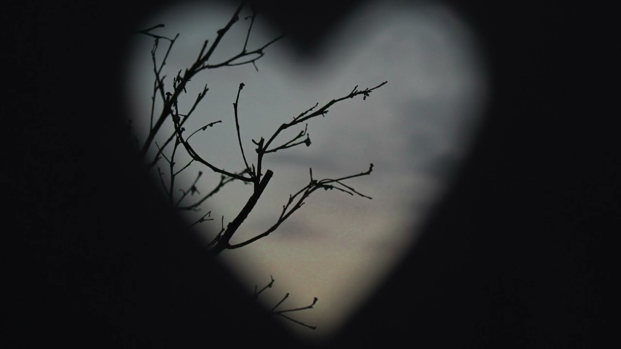 February, My Funny Valentine