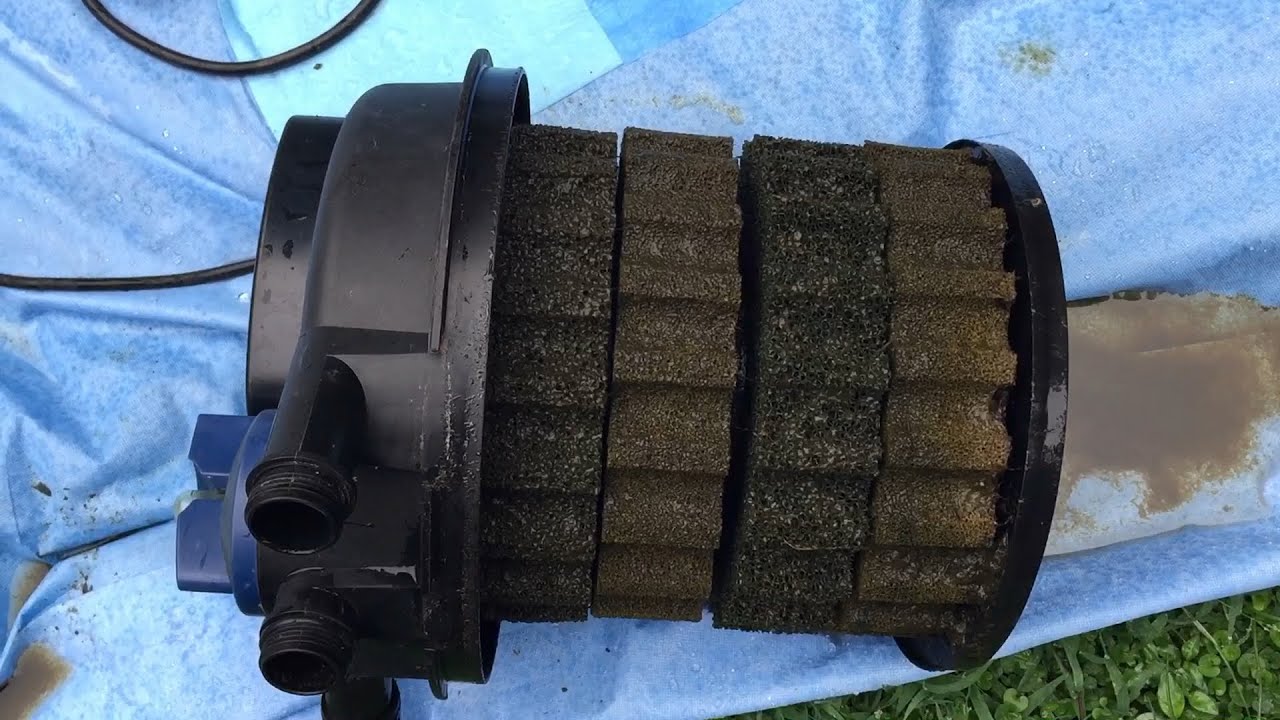 Updates on the ponds and pressure filter cleaning and preparing for Hurricane Florence!