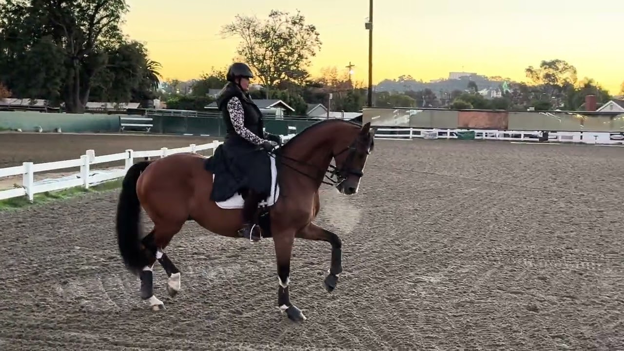 Juilliard & Krisi - Grand Prix school - 12-6-2025