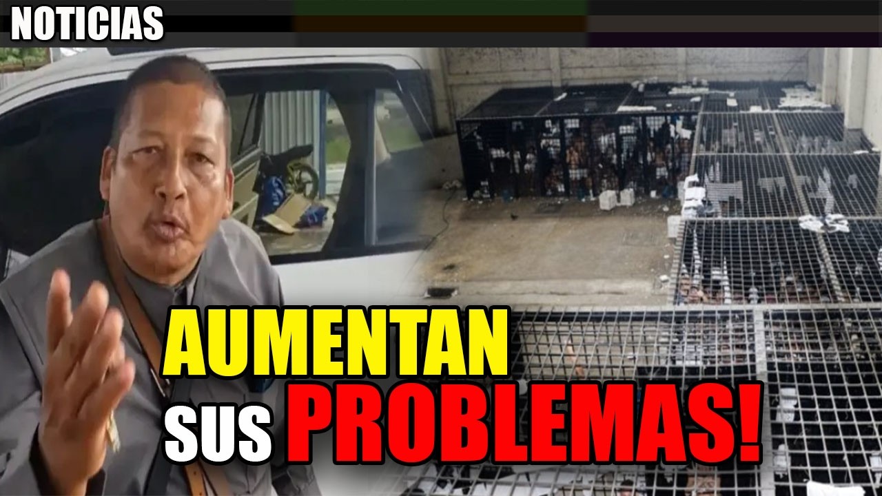 Chino ESTO PIENSA HACE para AYUDAR AL 