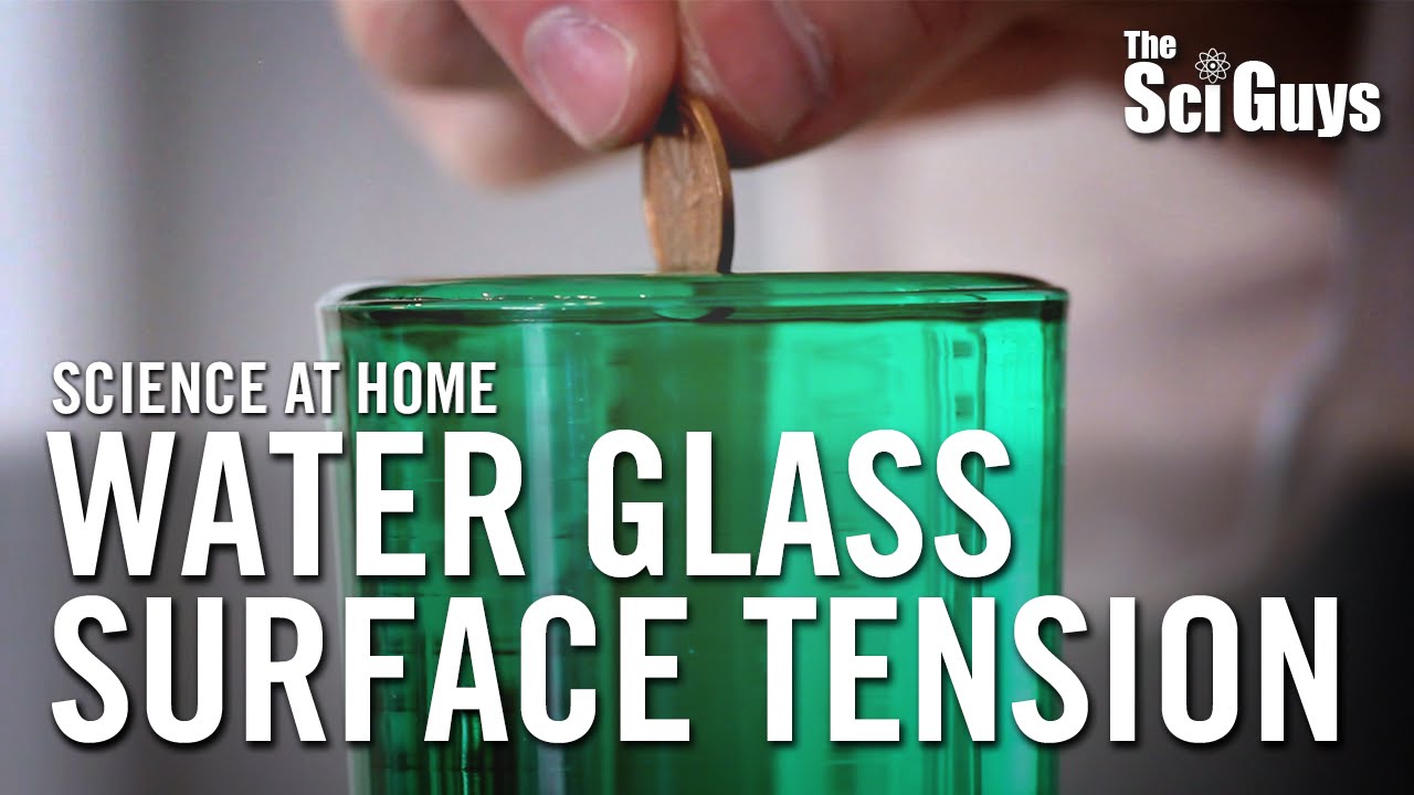 The Sci Guys: Science at Home - SE3 - EP4: Water Glass Surface Tension - Surface Tension of Water