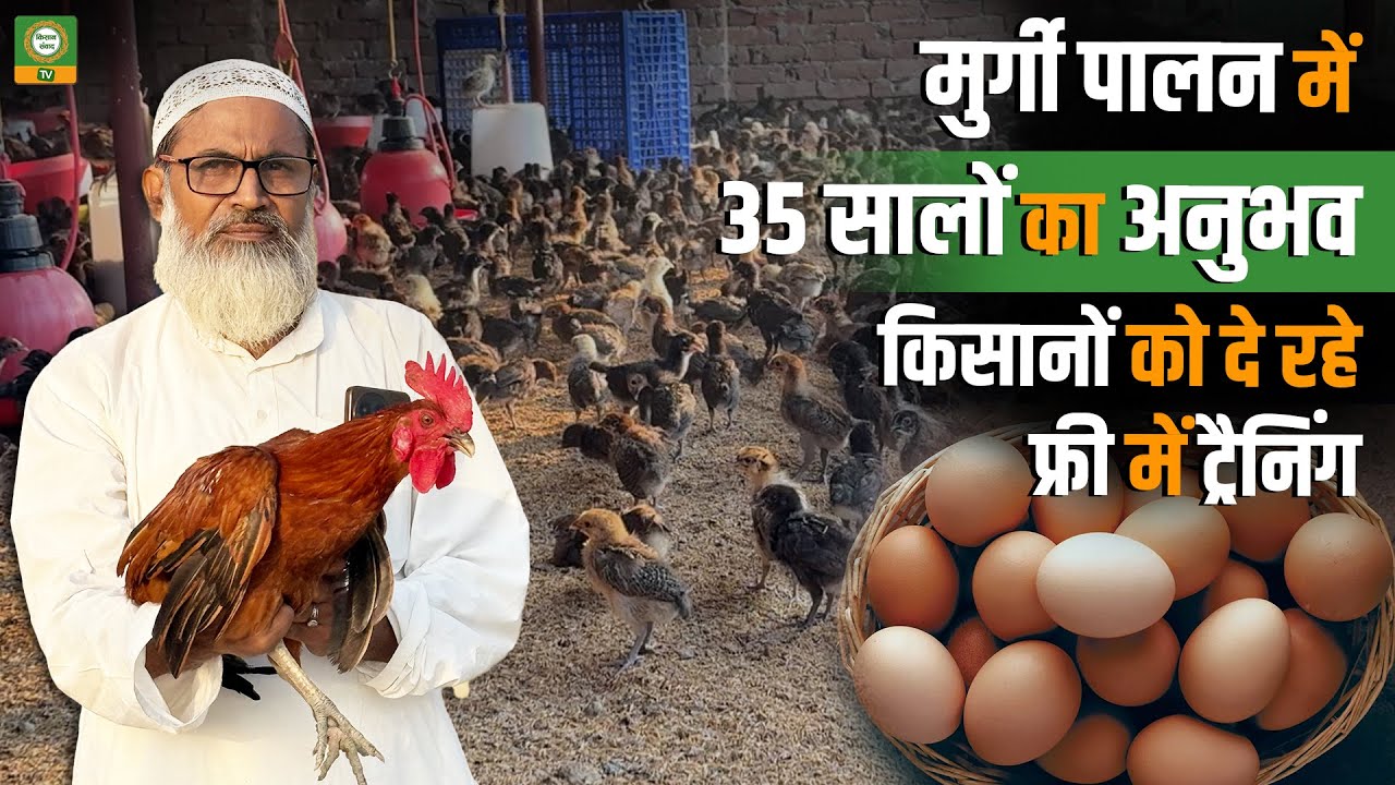 Free Poultry Farming Training | 35 Years Expert Guiding Farmers | मुर्गी पालन से कमाई का बढ़िया मौका