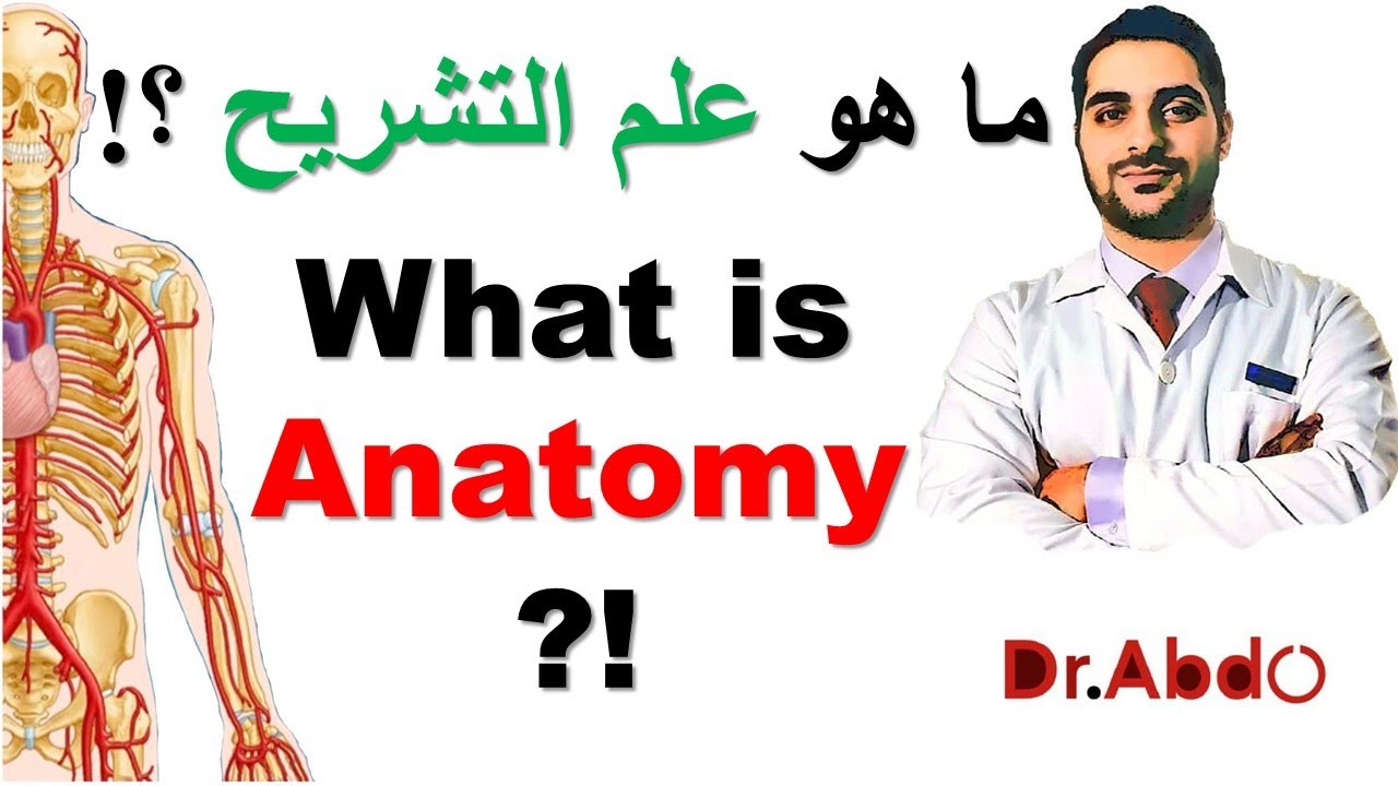 3. What is #Anatomy ?! || مقدمة عن علم التشريح - سنة أولى طب || [A1] || [3/20]